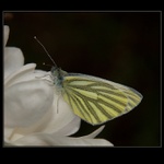 ...náhodné setkání...