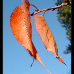 a nespadnem a nespadnem...