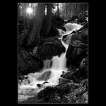 Ledová bystřina II.