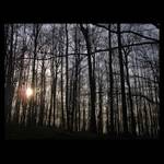 Kdo se bojí, nesmí do lesa...