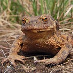 Tak z očí do očí!