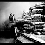 Tož co, zvládnem to ?