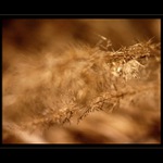 Koniec jesene na začiatku jari