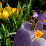 Najdi si svojí !!! ...