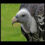 Smrt,je jeho živobytí