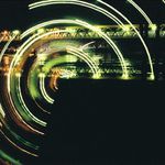 Vetvička na Dunaji 06