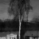 Březová voda proti lupům.