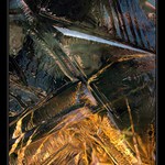 Jarní ledové pnutí