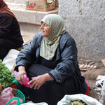 máte rádi bylinky????