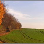 Podzim