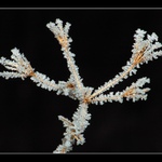 -= Když zima čaruje II =-