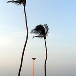 {i|  -  sever brasil