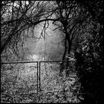 ... a zavřela se vrátka.