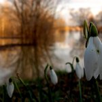 smutne rande po zapade slnka