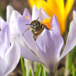 ted jsem se fakt nastvala!