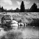 ..Šumavské pastorále..