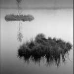 Šumavské pastorále..  Chalupská