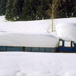 Pepane máme naloženo jedem!