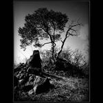 ◄ Život a Smrt ►