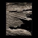 ◄ Tvář stromů ►