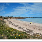 Žluté ozdoby léta