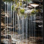  ** Vlasy Bílé Opavy **