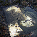 Střecha trabantu jako akt