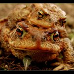 pohled do objektivu.