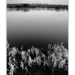 Předjarní melancholická