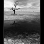 Předjarní melancholická I