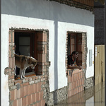 A to jsme se teprve nastěhovali