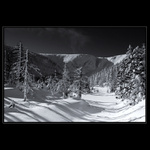 Malá zimní ohlédnutí I.