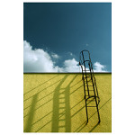 žebříky nikdy nevedou až do nebe