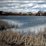 Zbynické rybníky II