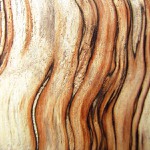 ..návštěva u Edvarda Muncha...