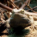 ...moc na mě nečum...