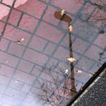 po jarním dešti...