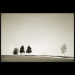 Z výletu na Vysočinu I.