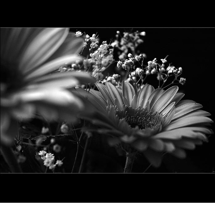 .: Pro tebe.. :.