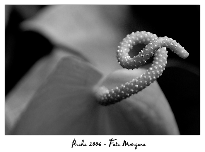 Fata Morgana