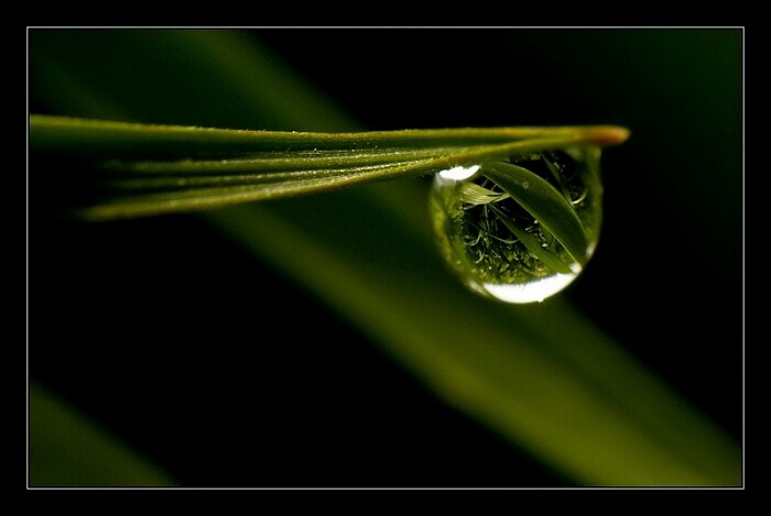 ...jedna z tisíce...