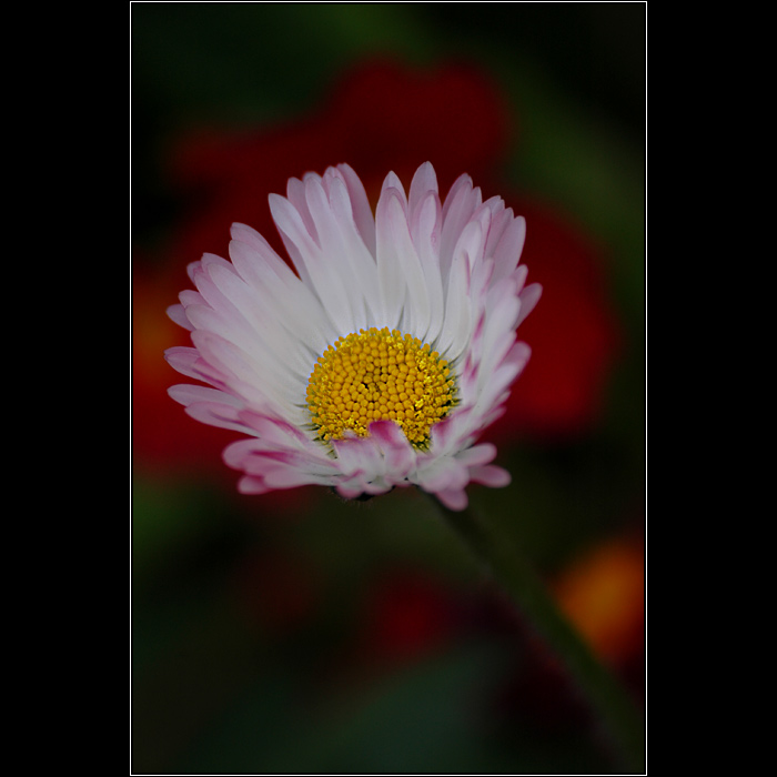 Growing from a dark