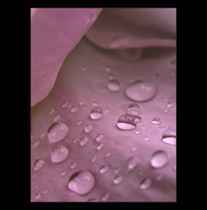  - diamonds II. -