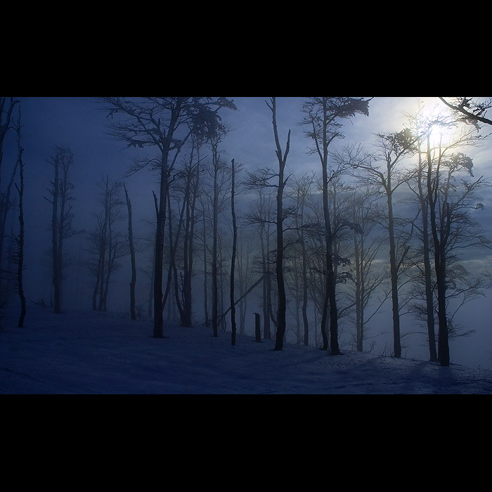 frozen light