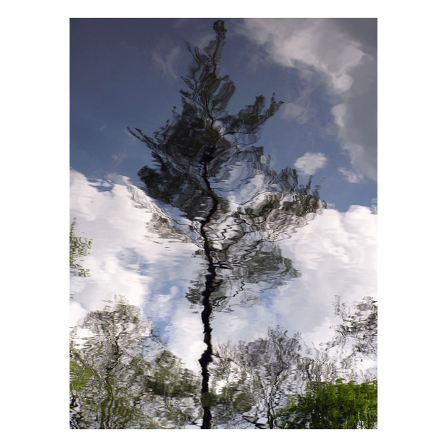 Když vítr zafouká...