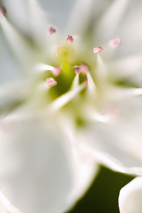 Micro Macro