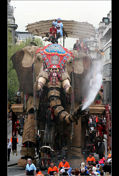The Sultans Elephant