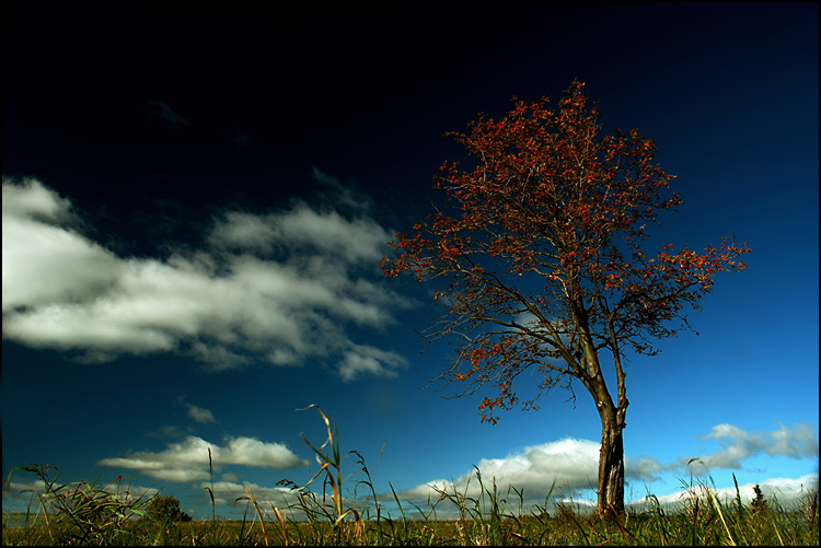 Touhy k zemi upoutaných III.