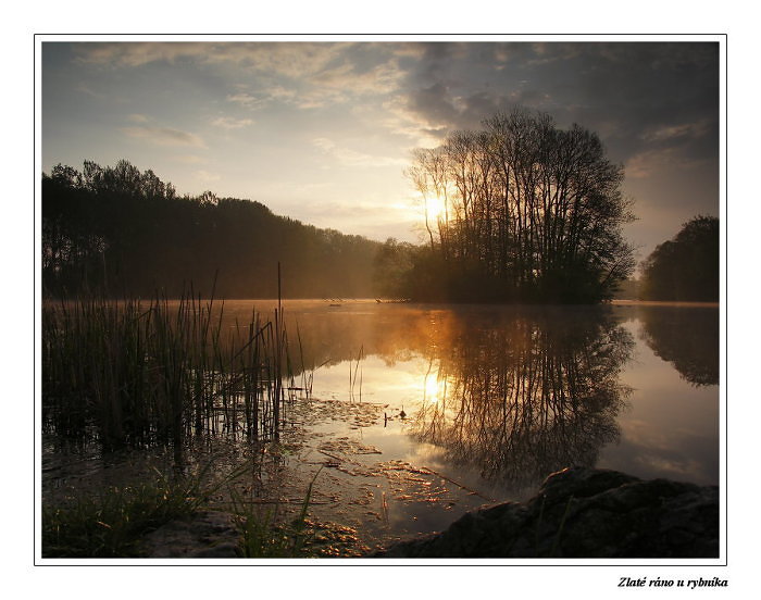 Zlaté ráno u rybníka