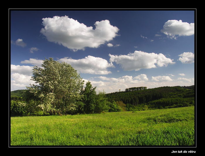 Jen tak ... do větru